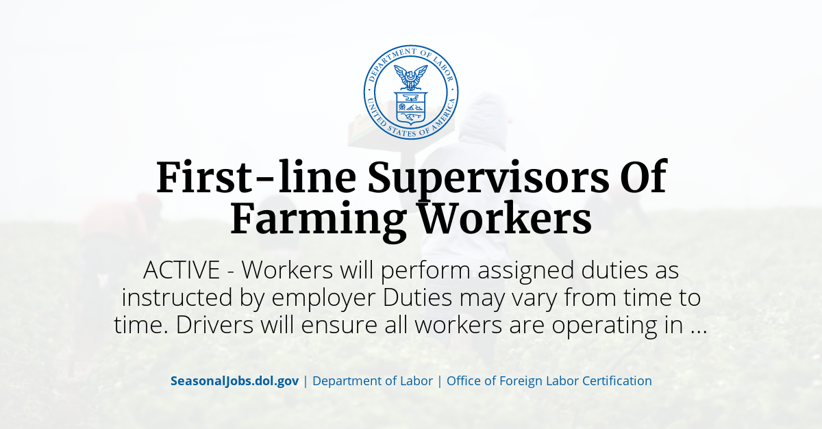First-Line Supervisors of Food Preparation & Serving Workers at My Next Move