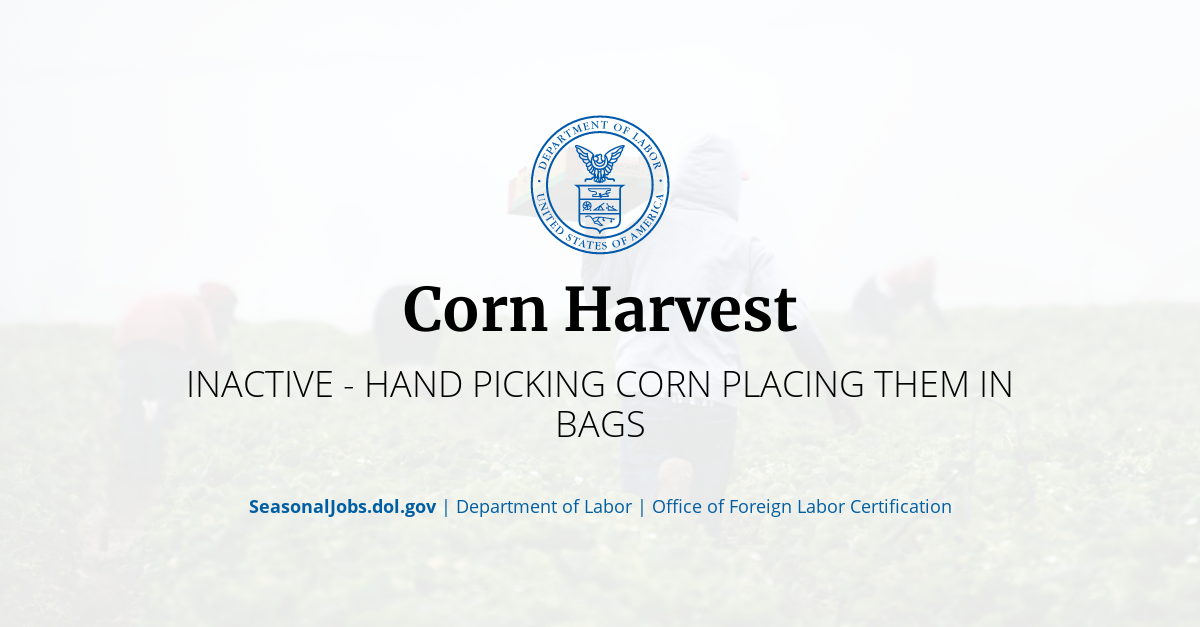 Corn Harvest SeasonalJobs.dol.gov