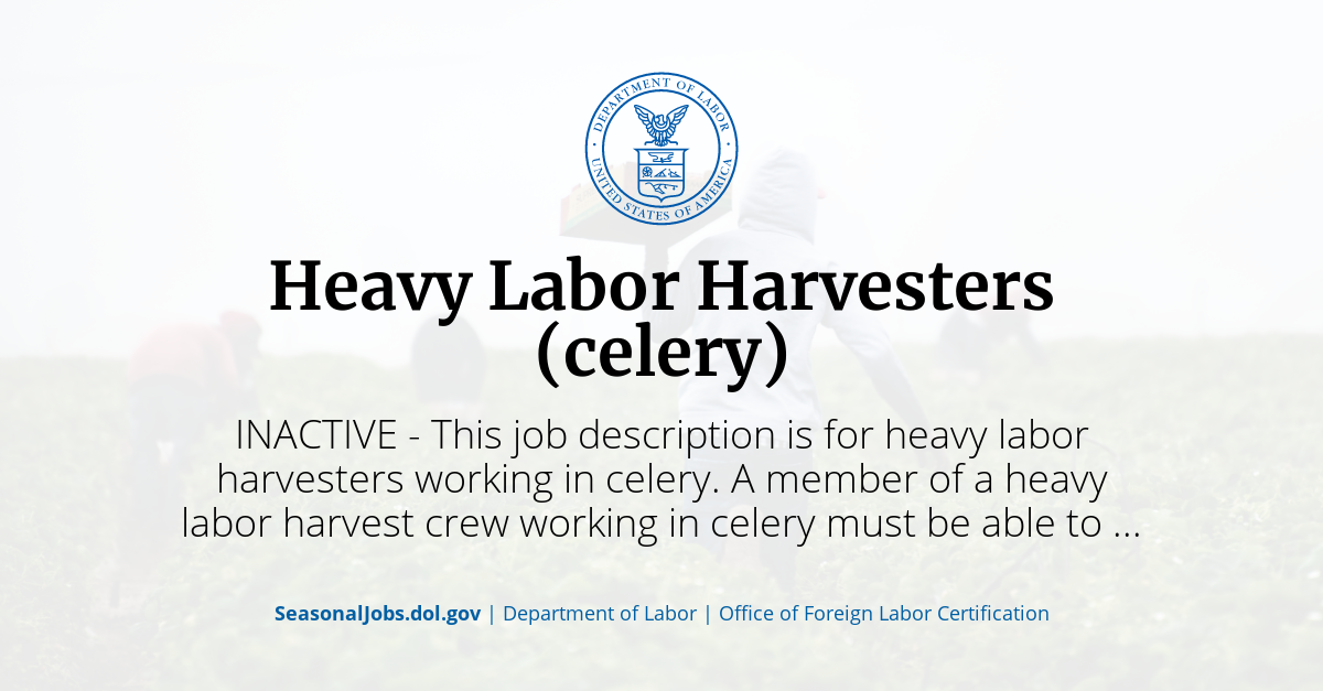 Labor & Delivery Job Description