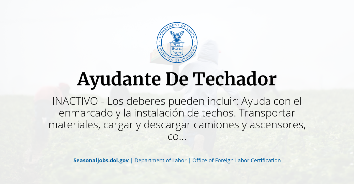 Ayudante De Techador 