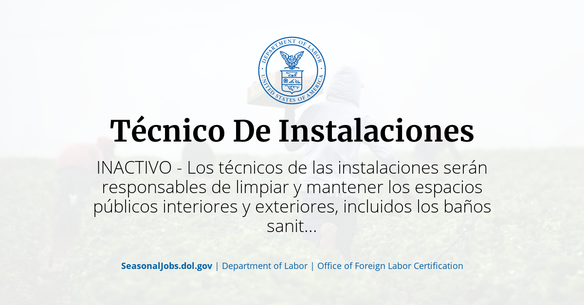 Técnico De Instalaciones 