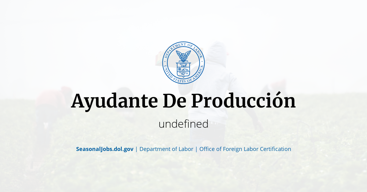 Ayudante De Producción 