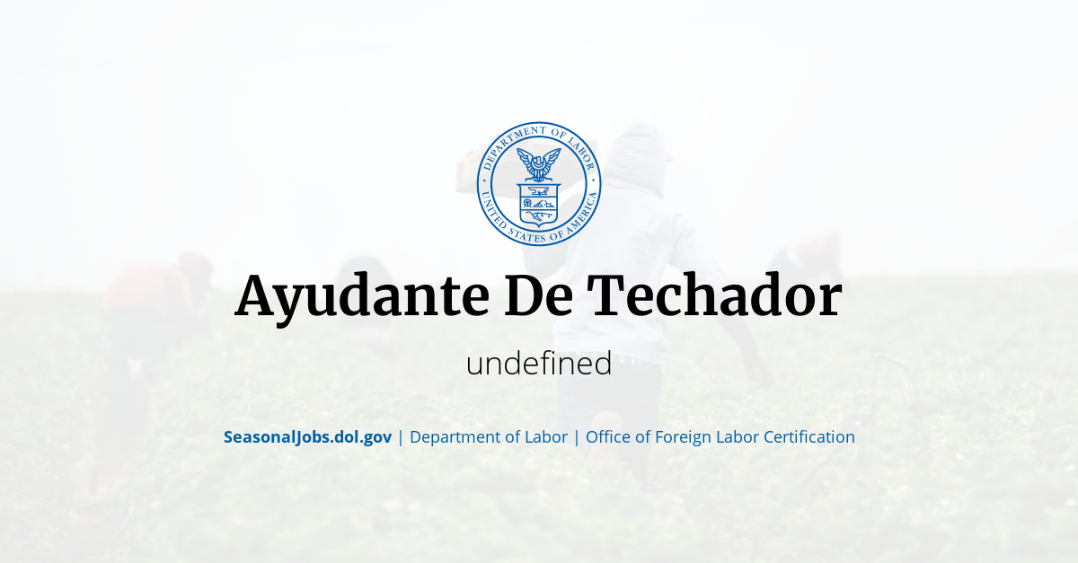 Ayudante De Techador 