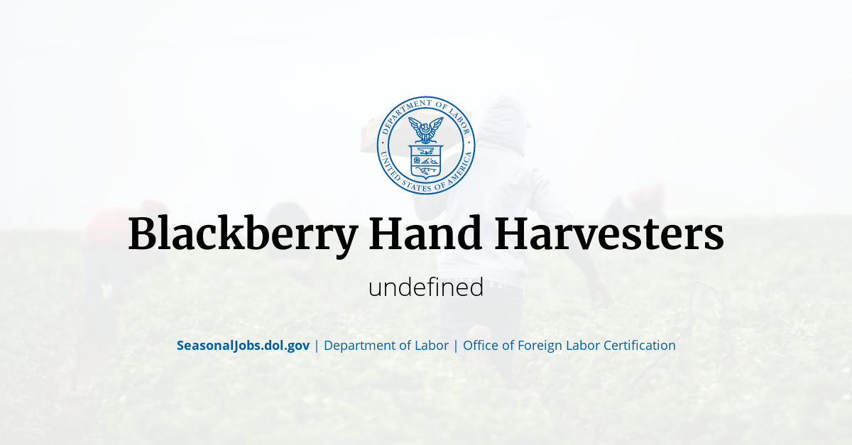 Blackberry Hand Harvesters SeasonalJobs.dol.gov