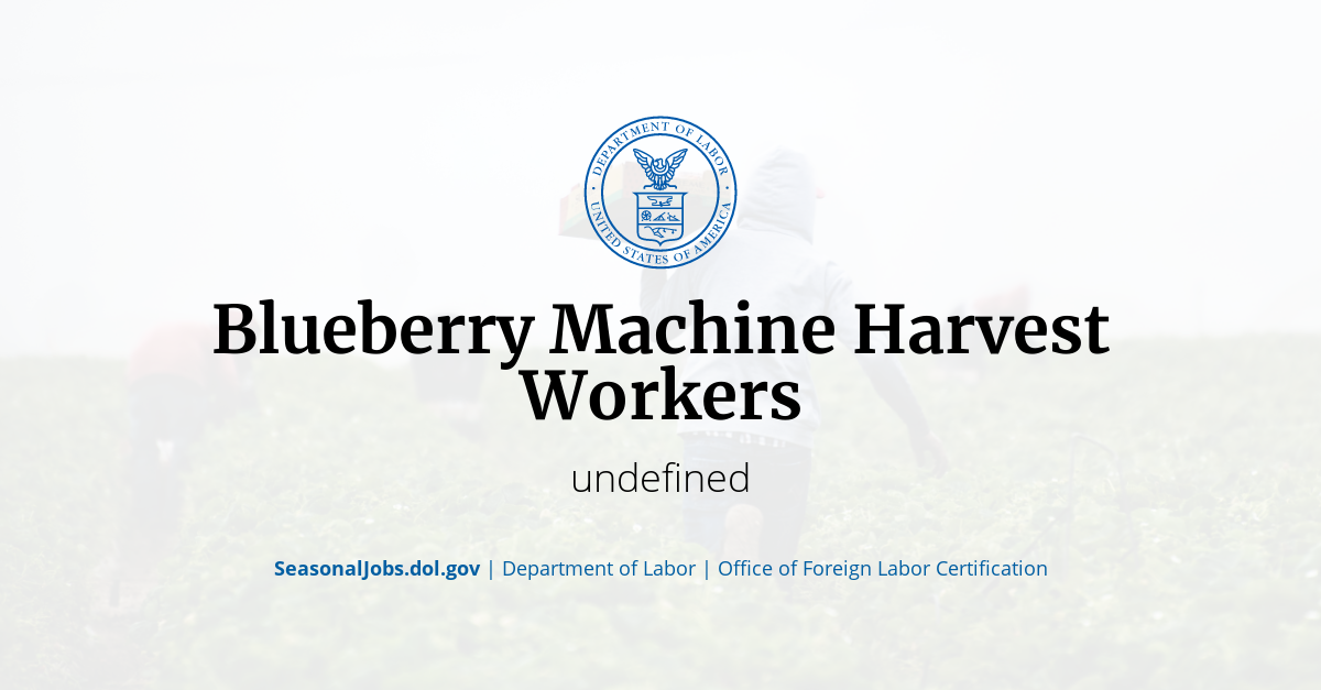 Blueberry Machine Harvest Workers SeasonalJobs.dol.gov
