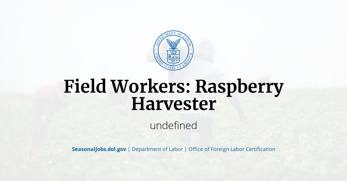 Field Workers Raspberry Harvester SeasonalJobs.dol.gov