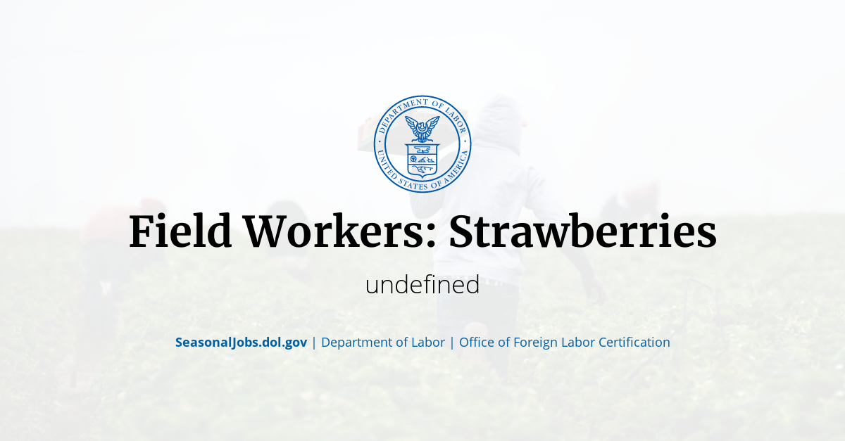 Field Workers Strawberries SeasonalJobs.dol.gov