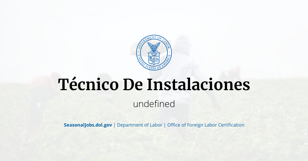 Técnico De Instalaciones 