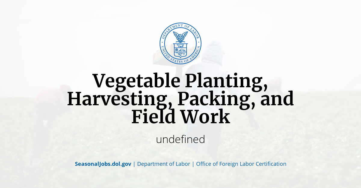 Vegetable Planting, Harvesting, Packing, and Field Work SeasonalJobs